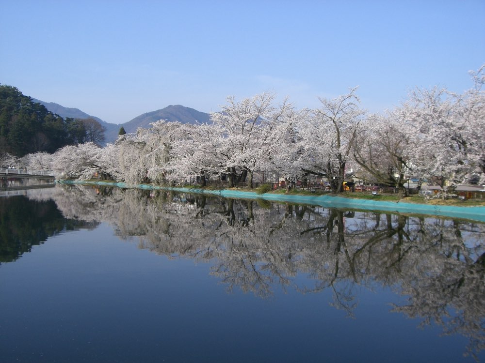 須坂市の遺品整理対応エリア(臥竜公園の桜)
